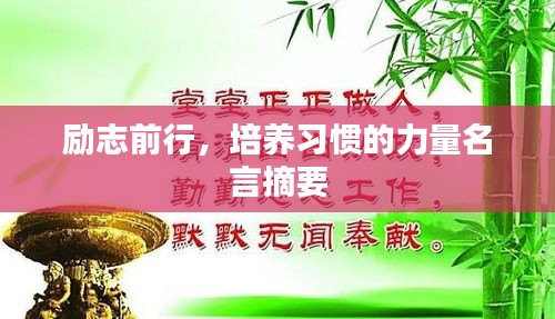 励志前行,培养习惯的力量名言摘要