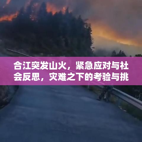 合江突发山火,紧急应对与社会反思,灾难之下的考验与挑战