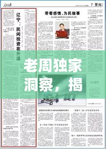 老周独家洞察,揭秘市场趋势,引领投资风向标