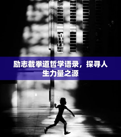 励志截拳道哲学语录,探寻人生力量之源
