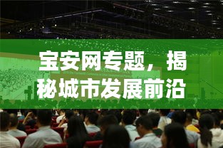 宝安网专题,揭秘城市发展前沿动态与独特魅力