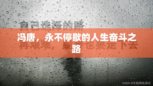 冯唐,永不停歇的人生奋斗之路