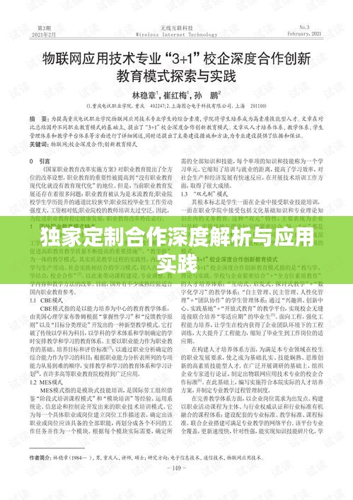 独家定制合作深度解析与应用实践