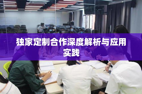 独家定制合作深度解析与应用实践