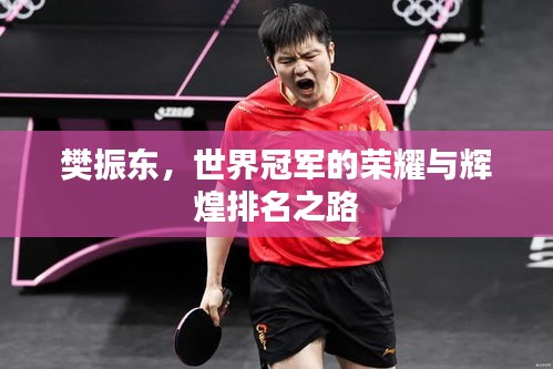 樊振东,世界冠军的荣耀与辉煌排名之路