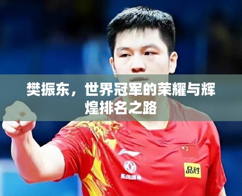 樊振东,世界冠军的荣耀与辉煌排名之路