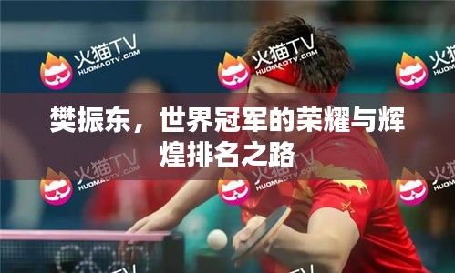 樊振东,世界冠军的荣耀与辉煌排名之路