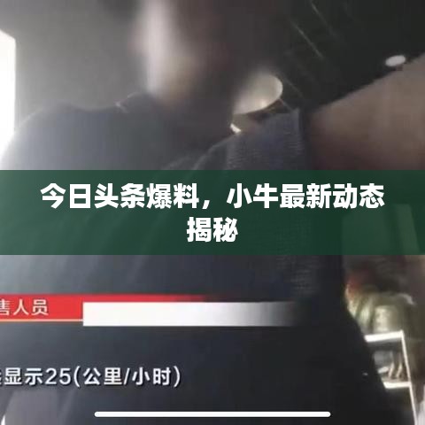 今日头条爆料,小牛最新动态揭秘