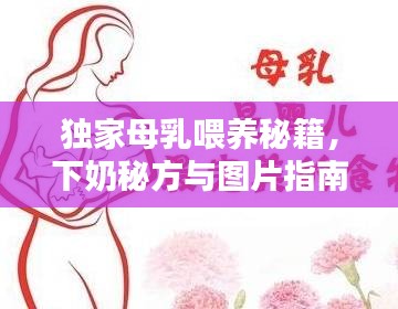 独家母乳喂养秘籍,下奶秘方与图片指南全攻略!