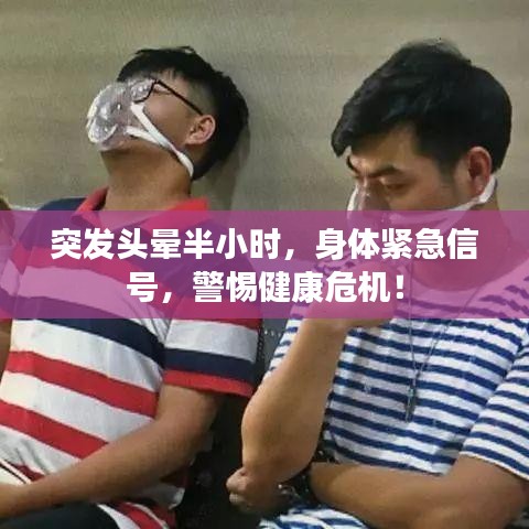真独简贵 第3页