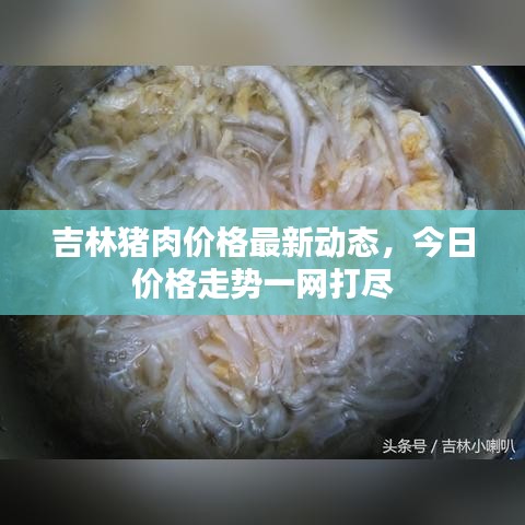 吉林猪肉价格最新动态,今日价格走势一网打尽