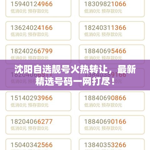 沈阳自选靓号火热转让,最新精选号码一网打尽!