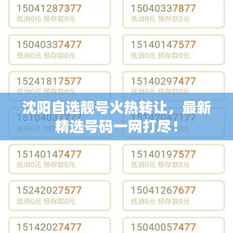 沈阳自选靓号火热转让,最新精选号码一网打尽!