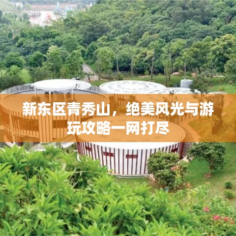 新东区青秀山,绝美风光与游玩攻略一网打尽