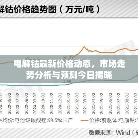 以卵就石 第3页