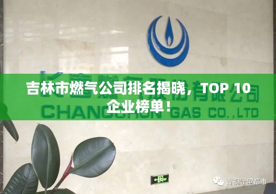 吉林市燃气公司排名揭晓,TOP 10企业榜单!