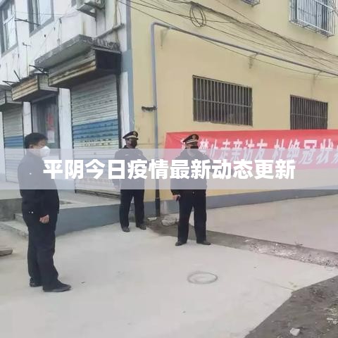 平阴今日疫情最新动态更新