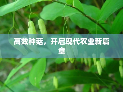 不耻下问 第3页