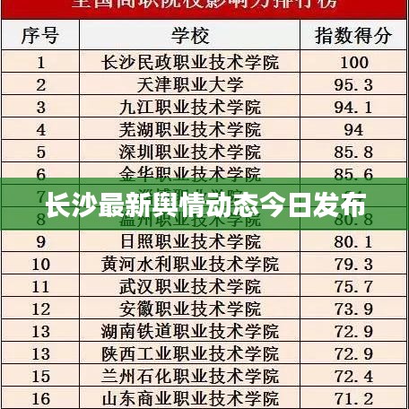 长沙最新舆情动态今日发布