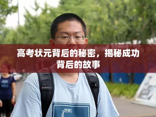 高考状元背后的秘密,揭秘成功背后的故事