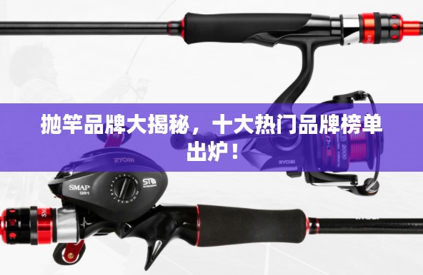 抛竿品牌大揭秘,十大热门品牌榜单出炉!