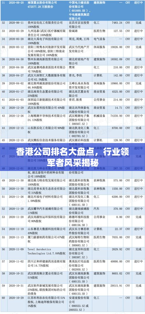 香港公司排名大盘点,行业领军者风采揭秘