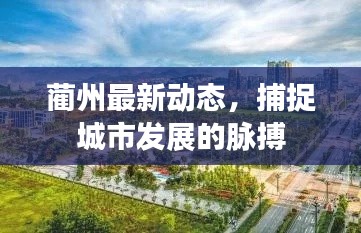 蔺州最新动态,捕捉城市发展的脉搏