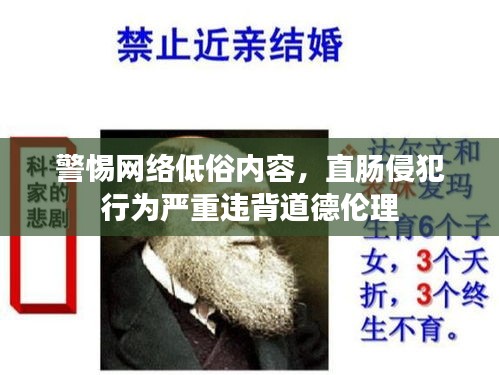 警惕网络低俗内容,直肠侵犯行为严重违背道德伦理