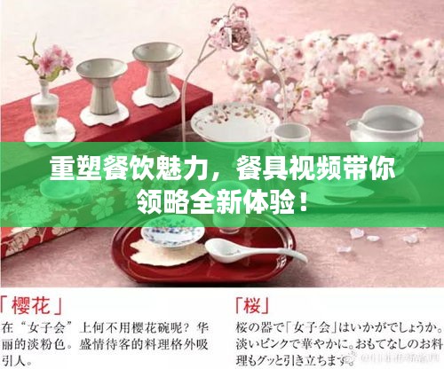 重塑餐饮魅力,餐具视频带你领略全新体验!