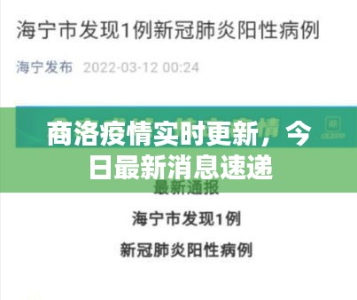 商洛疫情实时更新,今日最新消息速递