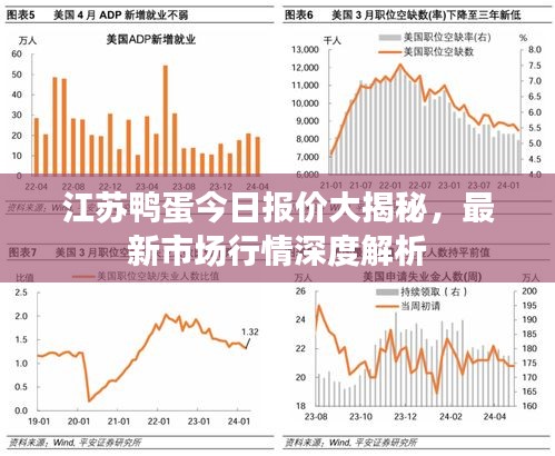 江苏鸭蛋今日报价大揭秘,最新市场行情深度解析