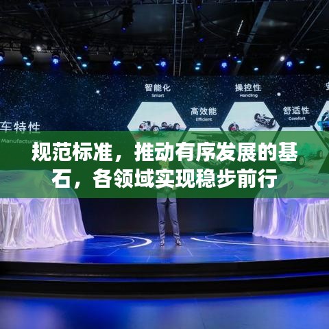 规范标准,推动有序发展的基石,各领域实现稳步前行