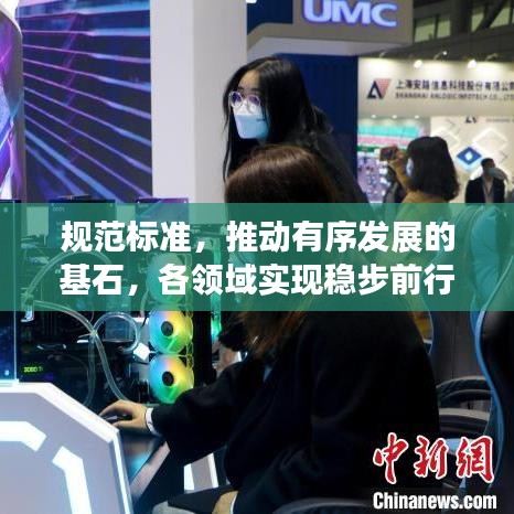 规范标准,推动有序发展的基石,各领域实现稳步前行