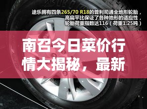 南召今日菜价行情大揭秘,最新动态一网打尽!