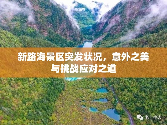 新路海景区突发状况,意外之美与挑战应对之道