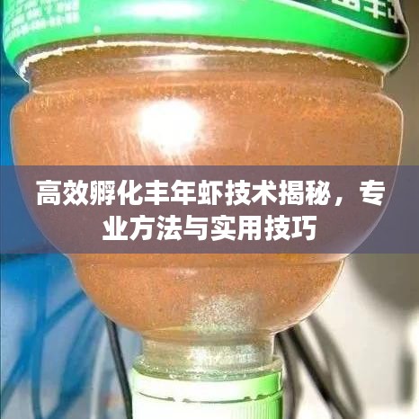 高效孵化丰年虾技术揭秘,专业方法与实用技巧