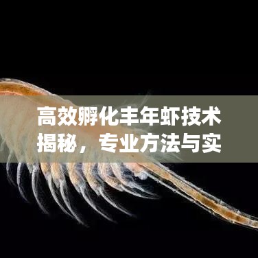 高效孵化丰年虾技术揭秘,专业方法与实用技巧