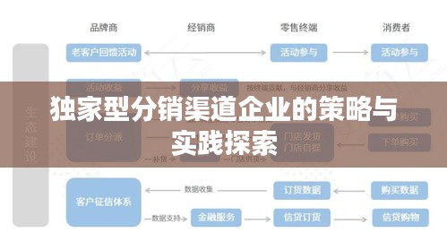 独家型分销渠道企业的策略与实践探索