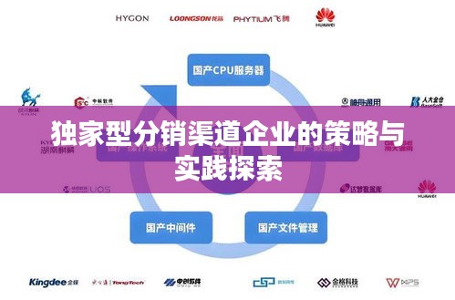 独家型分销渠道企业的策略与实践探索