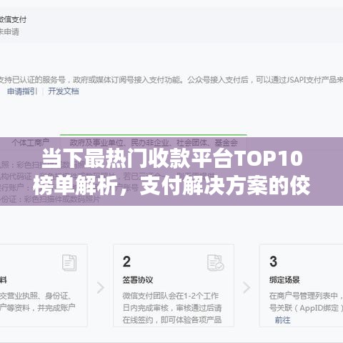 当下最热门收款平台TOP10榜单解析,支付解决方案的佼佼者