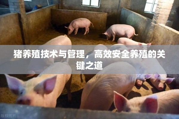 七嘴八张 第3页
