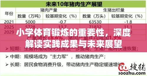 小学体育锻炼的重要性,深度解读实践成果与未来展望