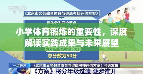 小学体育锻炼的重要性,深度解读实践成果与未来展望