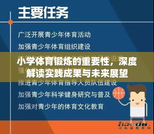 小学体育锻炼的重要性,深度解读实践成果与未来展望