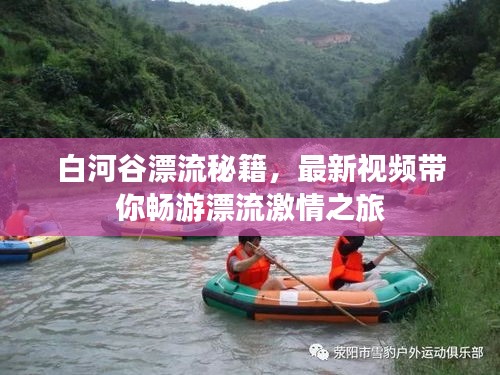 白河谷漂流秘籍,最新视频带你畅游漂流激情之旅