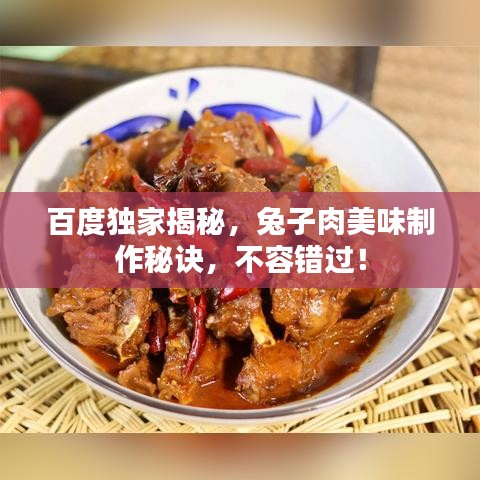 百度独家揭秘,兔子肉美味制作秘诀,不容错过!