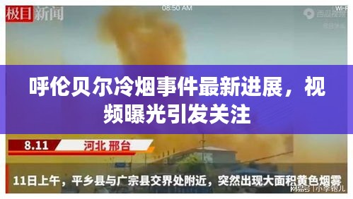 呼伦贝尔冷烟事件最新进展,视频曝光引发关注