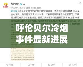 呼伦贝尔冷烟事件最新进展,视频曝光引发关注
