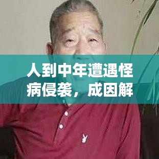 张弛不定 第3页