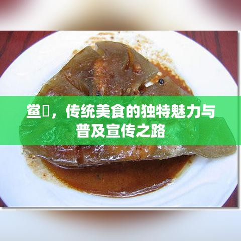 鲎粿,传统美食的独特魅力与普及宣传之路